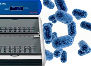 Celdillas microbiología rápida